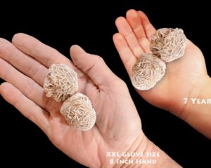 SELENITE ROSE 1 1/2" 2 Pieces Raw Rock Mineral Crown Chakra Crystal Stone Raw Reiki Stone Mineral Specimen