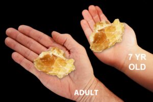 AMBER CALCITE 2" 2-3 Oz Crystal Large Raw Rock Mineral Sacral Chakra Crystal Stone Natural Specimen