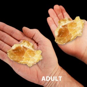 AMBER CALCITE 2" 2-3 Oz Crystal Large Raw Rock Mineral Sacral Chakra Crystal Stone Natural Specimen
