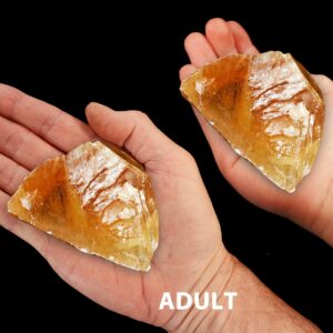 AMBER CALCITE 3" 8-12 Oz Crystal Large Raw Rock Mineral Sacral Chakra Crystal Stone Natural Specimen