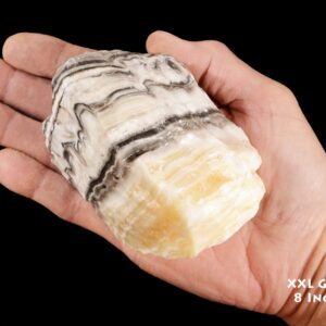 ZEBRA ONYX 4" 2 Pound Size Rough Extra Large Rough Rock Mineral Specimen Raw Root Chakra Crystal Genuine Natural Stone Reiki