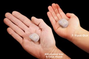 LEPIDOLITE MICA 1" Tumbled Polished Natural Rock Mineral All Chakra Crystal Stone Specimen Reiki
