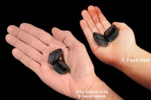 BLUE TIGERS EYE 1 1/4" 2 Pieces Top Grade Tumbled Stone Polished Rock Mineral Throat Chakra Crystal Stone Natural Specimen Reiki