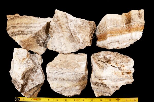 TRAVERTINE 5 1/2" 2 Lb to 3 Lb Tan Cream Root Chakra Large Raw Rock Mineral Specimen Crystal Chakra Stone Reiki - Image 2