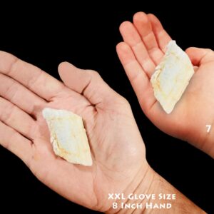AQUAMARINE Crystal 2 1/4" 3-4 Oz A Grade Rough Precious Gemstone Throat Chakra Crystal Raw Rock Mineral Specimen Reiki   Stone