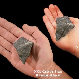 MAGNETITE PYRITE 2" 4-7 Oz Healers Gold Top Grade Rough Rock Mineral Root Chakra Crystal Stone Natural Reiki