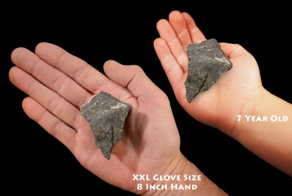 MAGNETITE PYRITE 2" 4-7 Oz Healers Gold Top Grade Rough Rock Mineral Root Chakra Crystal Stone Natural Reiki