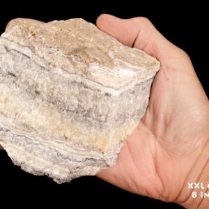 TRAVERTINE 5 1/2" 2 Lb to 3 Lb Tan Cream Root Chakra Large Raw Rock Mineral Specimen Crystal Chakra Stone Reiki