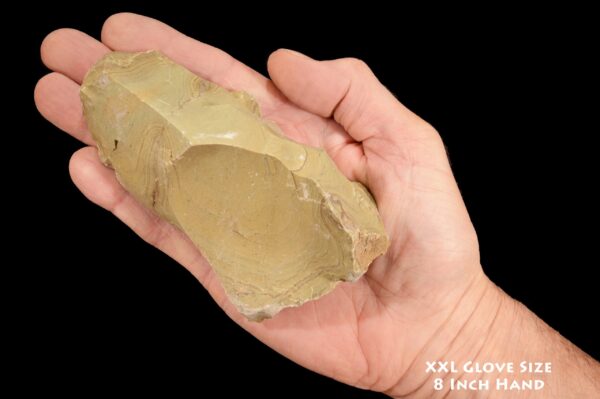 GREEN PICTURE JASPER 5" 1-2 Lb Wild Horse Owyhee Rough Natural Rock Mineral Third Eye Raw Chakra Crystal Stone Specimen Reiki