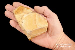 TAN PICTURE JASPER 4 1/2" 1-2 Lb Wild Horse Owyhee Extra Large Rough Rock Mineral Third Eye Raw Chakra Crystal Stone Specimen