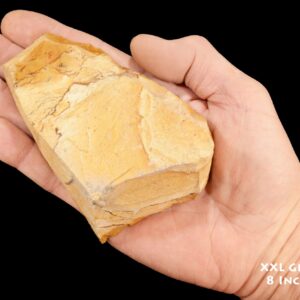 TAN PICTURE JASPER 4 1/2" 1-2 Lb Wild Horse Owyhee Extra Large Rough Rock Mineral Third Eye Raw Chakra Crystal Stone Specimen