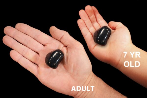 RARE APACHE TEAR Polished 1 1/4" to 1 1/2" Tumbled Pieces Rock Mineral Root Chakra Crystal Stone Natural Specimen Reiki Gemstone - Image 3