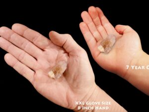 AMETRINE Spirit Cactus Quartz 1 1/4" Amethyst Citrine Crystal Point Raw Rock Mineral Crown Chakra Reiki Stone Natural Specimen