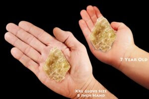 NEON YELLOW MUSCOVITE Book Mica 1 1/4" Top Grade Rough Rock Mineral Specimen Raw Heart Chakra Crystal Reiki Stone