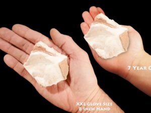 WHITE ONYX 3" 4-7 Oz Mount Nebo Utah Large Rough Rock Mineral Specimen Raw Crown Chakra Crystal Stone Reiki