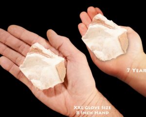 WHITE ONYX 3" 4-7 Oz Mount Nebo Utah Large Rough Rock Mineral Specimen Raw Crown Chakra Crystal Stone Reiki