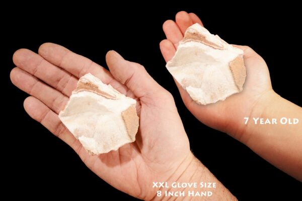 WHITE ONYX 3" 4-7 Oz Mount Nebo Utah Large Rough Rock Mineral Specimen Raw Crown Chakra Crystal Stone Reiki