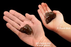 CARNELIAN 2" 2-3 Oz Top Grade Dark Polished Rock Mineral Sacral Chakra Crystal Stone Natural Specimen Reiki