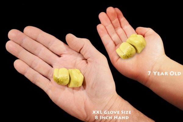 LIME GREEN SERPENTINE 1 1/2" 2 Pieces Top Grade Tumbled Polished Rock Mineral Solar Plexus Chakra Crystal Stone Specimen Reiki