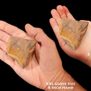 BROWN TIGERS EYE 2 1/2" 4-7 Oz Large Raw Rock Mineral Solar Plexus Chakra Crystal Stone Natural Mineral Specimen