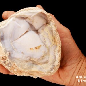 PURPLE AGATE 5 1/2" 2-3 Lb Large Rock Mineral Metaphysical Crown Chakra Crystal Stone Natural Raw Mineral Specimen Reiki