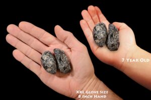 RARE APACHE TEAR 1 7/8" Set of 2 Pieces RoughExtra Large  Rock Mineral Root Chakra Raw CrystalStones Natural Specimen Reiki