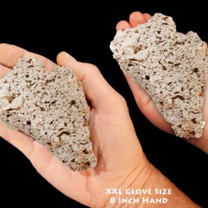 BIOTITE MICA in Andesite 3 1/2" 8-12 Oz Large Rough Rock Mineral Specimen Raw Root Chakra Crystal Natural Reiki Stone
