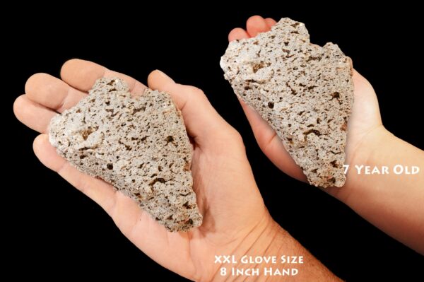BIOTITE MICA in Andesite 3 1/2" 8-12 Oz Large Rough Rock Mineral Specimen Raw Root Chakra Crystal Natural Reiki Stone