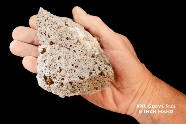 BIOTITE MICA in Andesite 4 1/2" 1 Lb to 2 Lb Rough Extra Large Rock Mineral Specimen Raw Root Chakra Crystal Natural Reiki Stone