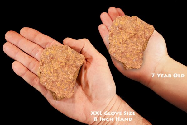 CALLIGRAPHY JASPER 4" 1 Lb to 2 Lb Lapidary Rough Extra Large Natural Rock Mineral Solar Plexus Chakra Crystal Stone Specimen