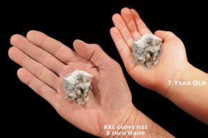 HOWLITE Crystal 2" 2-4 Oz Large Rock Mineral Crown Chakra Raw Crystal Stone Reiki Raw Stone Mineral Specimen