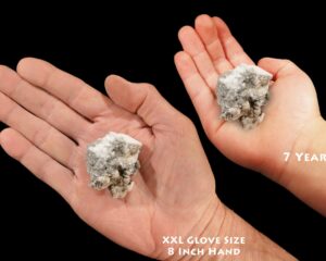 HOWLITE Crystal 2" 2-4 Oz Large Rock Mineral Crown Chakra Raw Crystal Stone Reiki Raw Stone Mineral Specimen