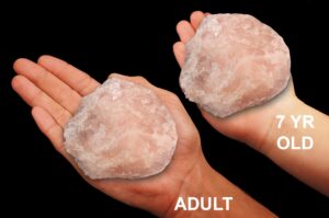 ROSE QUARTZ Crystal 3 1/2" 13-15 Oz Heart Chakra Crystal Rock Mineral Specimen Crystal Chakra Stone Reiki Gemstones