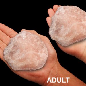 ROSE QUARTZ Crystal 3 1/2" 13-15 Oz Heart Chakra Crystal Rock Mineral Specimen Crystal Chakra Stone Reiki Gemstones