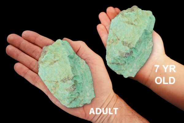 AMAZONITE 3" 8-12 Oz Crystal Raw Rock Mineral All Chakras Crystal Stone Natural Specimen Reiki