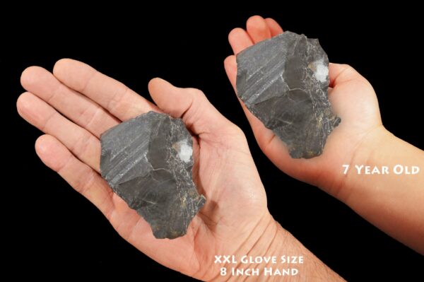 BLACK ONYX 5" 1 Lb to 2 Lb Extra Large Raw Rock Mineral Root Chakra Crystal Natural Rough Stone