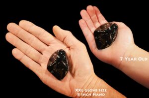SNOWFLAKE OBSIDIAN 2" 2-5 Oz A Grade Large Tumbled Polished Rock Mineral Root Chakra Crystal Natural Specimen Reiki Stone