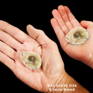 OCO AGATE GEODE Natural 2" Polished Rock Mineral Root Chakra Crystal Stone Natural Raw Mineral Specimen Reiki
