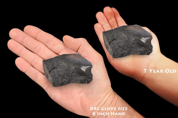 BLACK ONYX 3" 4-7 Oz Extra Large Raw Rock Mineral Root Chakra Crystal Natural Rough Stone