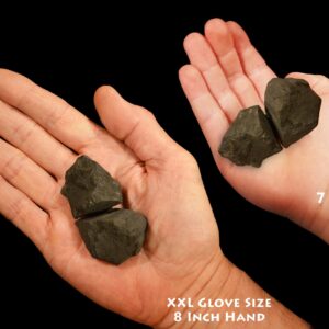 SHUNGITE 2" 2-4 Oz 2 Pieces Rough Rock Mineral Specimen Raw Root Chakra Crystal Metaphysical Reiki Stone