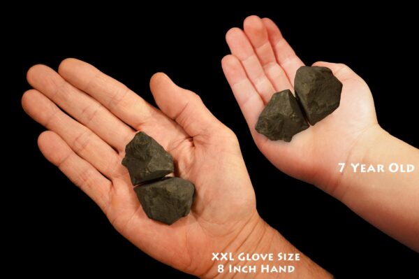 SHUNGITE 2" 2-4 Oz 2 Pieces Rough Rock Mineral Specimen Raw Root Chakra Crystal Metaphysical Reiki Stone