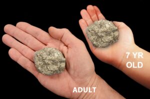 PYRITE Crystal 4-7 Oz Mexico Raw Rock Mineral Third Eye Chakra Crystal Stone Natural Specimen Reiki Stone