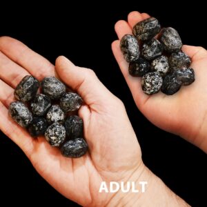 APACHE TEAR 1" Set of 10 Pieces Raw Rock Mineral Root Chakra Crystal Stone Raw Natural Mineral Specimen Reiki