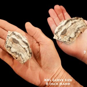 ZEBRA ONYX 2" 2-3 Oz Rough Extra Large Rough Rock Mineral Specimen Raw Root Chakra Crystal Genuine Natural Stone Reiki