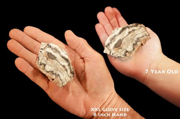 ZEBRA ONYX 2" 2-3 Oz Rough Extra Large Rough Rock Mineral Specimen Raw Root Chakra Crystal Genuine Natural Stone Reiki