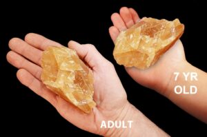 AMBER CALCITE 2 1/2" 4-7 Oz Crystal Raw Rock Mineral Sacral Chakra Crystal Stone Natural Rough Specimen