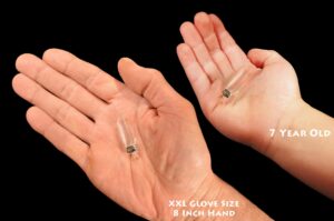 CLEAR QUARTZ Crystal Necklace Pendant 1 1/4" Raw Rock Mineral All Chakra Crystal Stone Natural Specimen Reiki