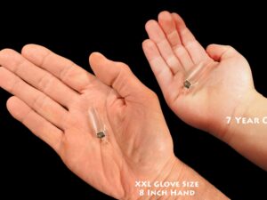 CLEAR QUARTZ Crystal Necklace Pendant 1 1/4" Raw Rock Mineral All Chakra Crystal Stone Natural Specimen Reiki