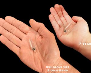 CLEAR QUARTZ Crystal Necklace Pendant 1 1/4" Raw Rock Mineral All Chakra Crystal Stone Natural Specimen Reiki