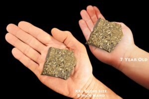 PYRITE On SHUNGITE 3 1/2" 4-7 Oz Brazil Raw Rock Mineral Third Eye Chakra Crystal Stone Natural Specimen Reiki Stone